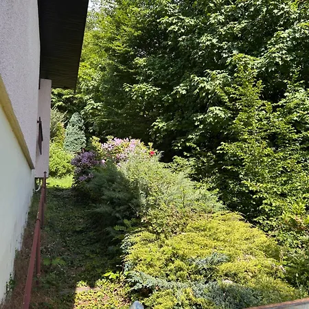 Mon Desir Fresse-sur-Moselle