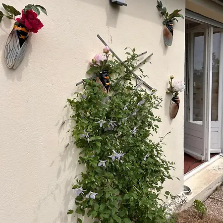 Apartment Mon Desir Fresse-sur-Moselle